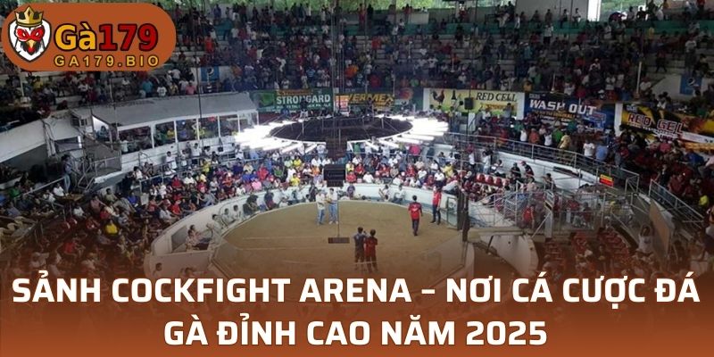 sảnh Cockfight Arena