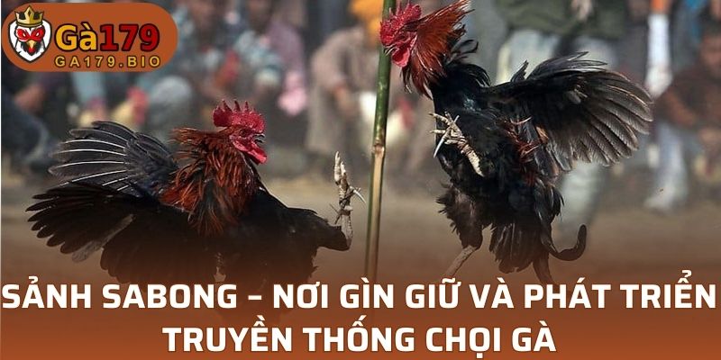 sanh-sabong